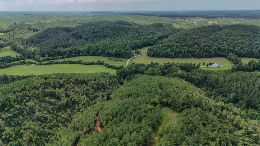 0 Big Opossum Rd, Waynesboro, TN 38485 - #2