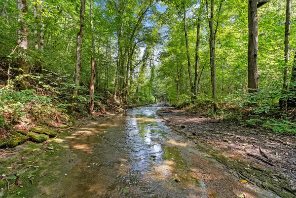599 Jake Rockwell Rd, Celina, TN 38551