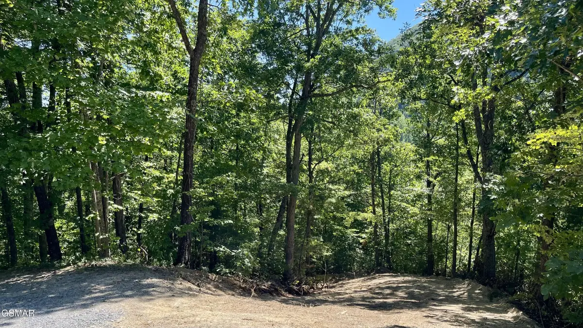 2324 Red Maple Lane, Sevierville, TN 37876 - #1