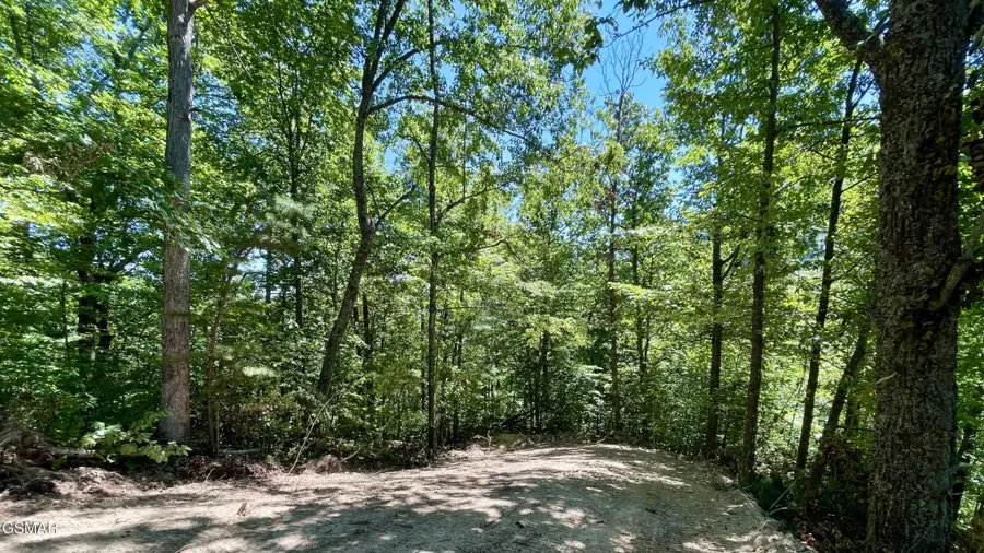 2324 Red Maple Lane, Sevierville, TN 37876 - #3