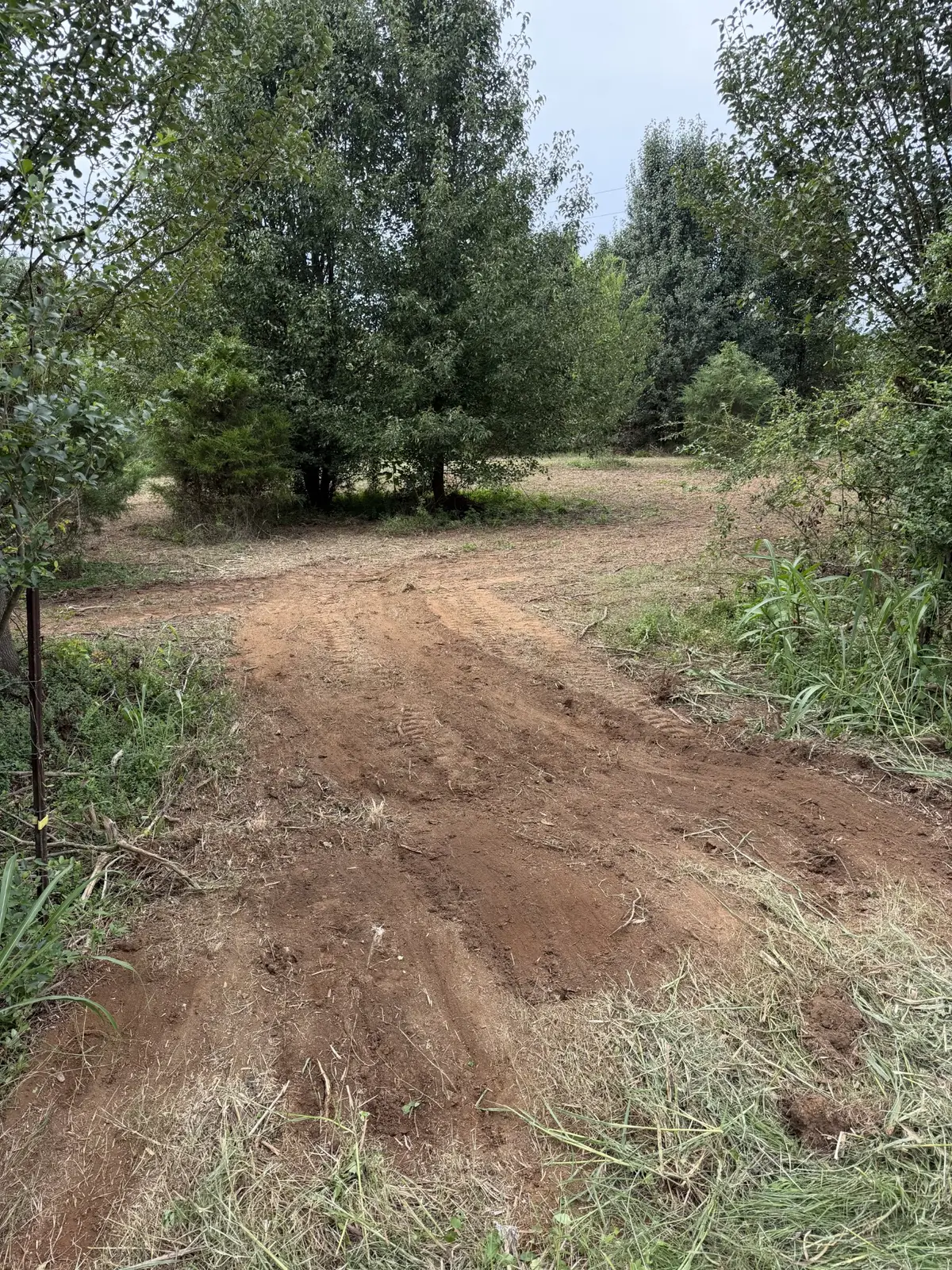 0 Highway 11 S, Riceville, TN 37370 - #1