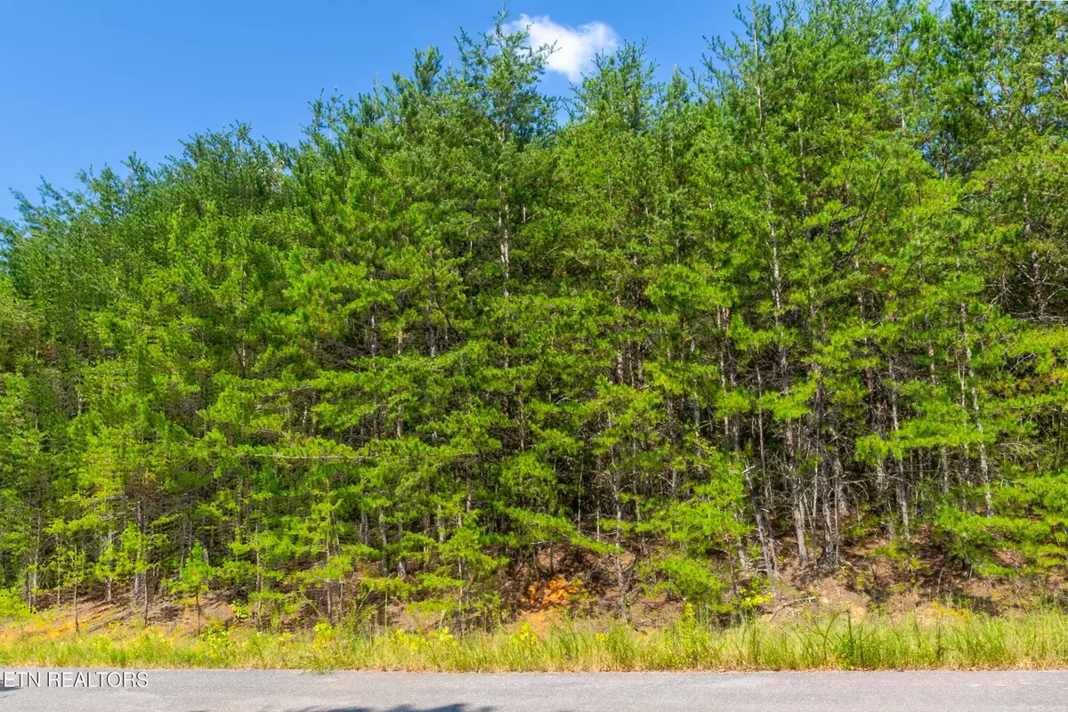 742 White Dogwood Drive, Newport, TN 37821 - #1