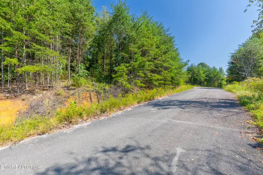 742 White Dogwood Drive, Newport, TN 37821 - #2