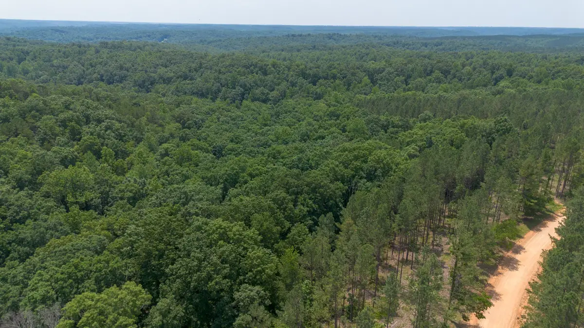 0 Salem Rd, Centerville, TN 37033 - #1