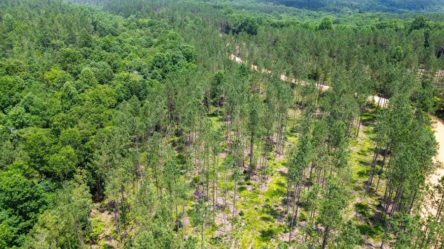 0 Salem Rd, Centerville, TN 37033 - #3