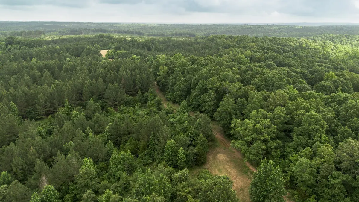 115 Baudy James Road, Cedar Grove, TN 38321 - #1