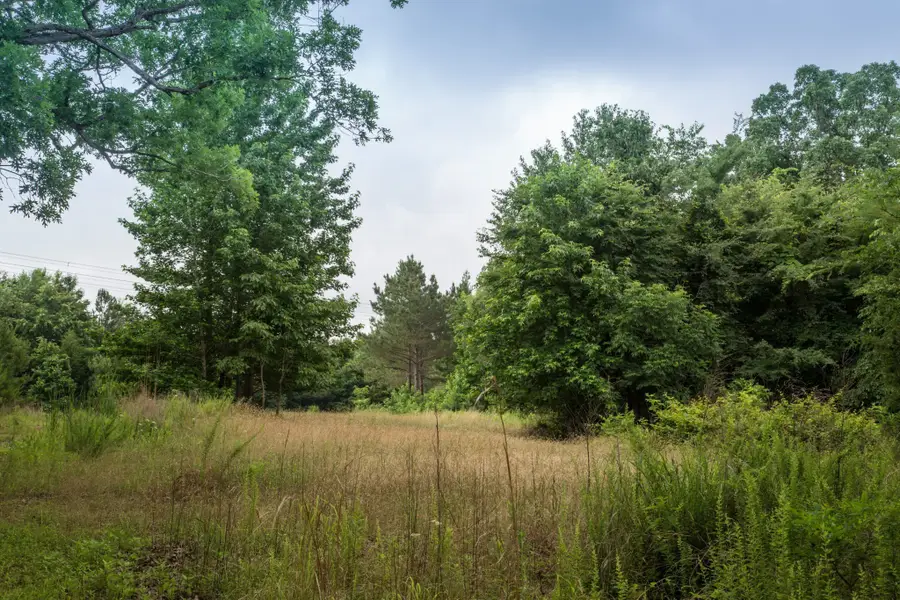 115 Baudy James Road, Cedar Grove, TN 38321 - #2