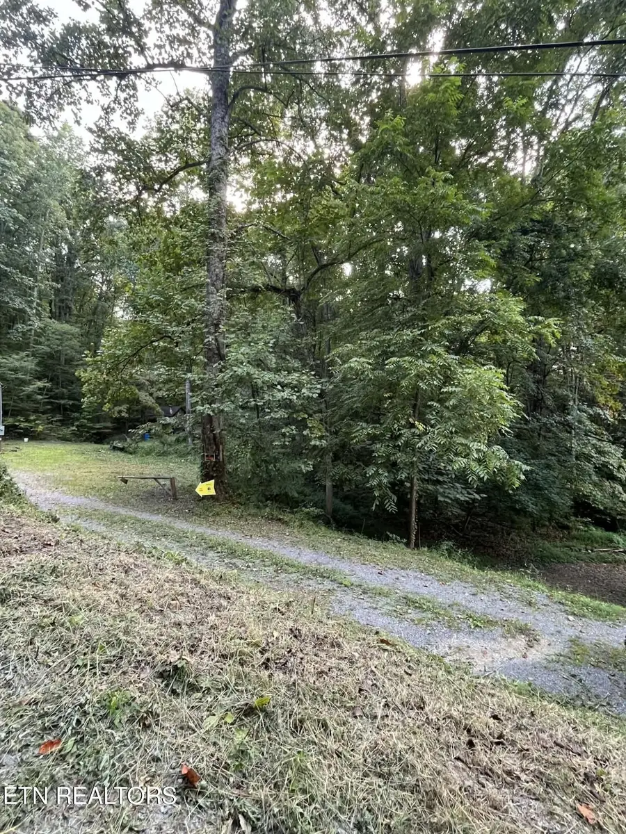 1241 Azalea Lane, Newport, TN 37821 - #3