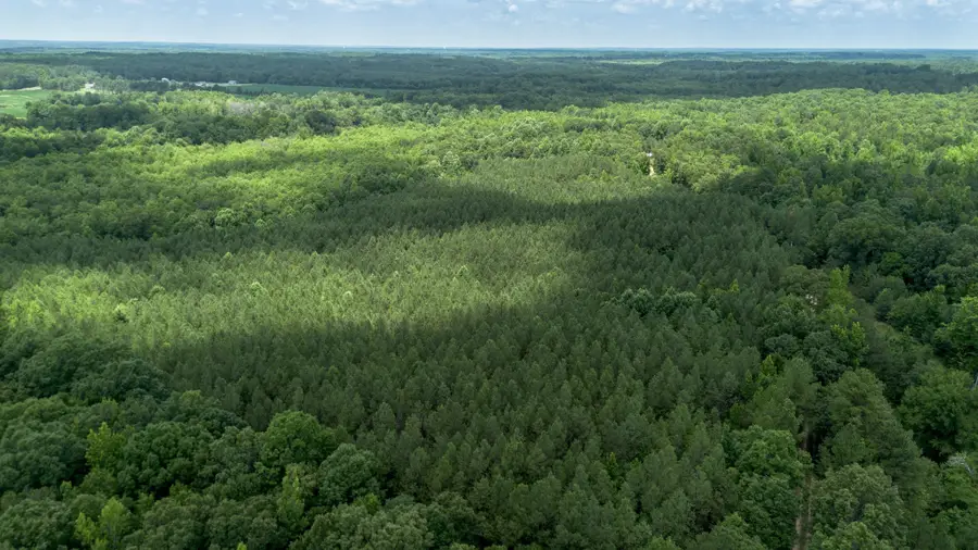0 Smith Rd, Finger, TN 38334 - #2