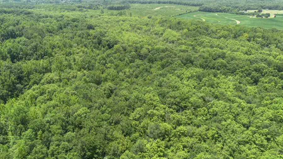0 Smith Rd, Finger, TN 38334 - #3