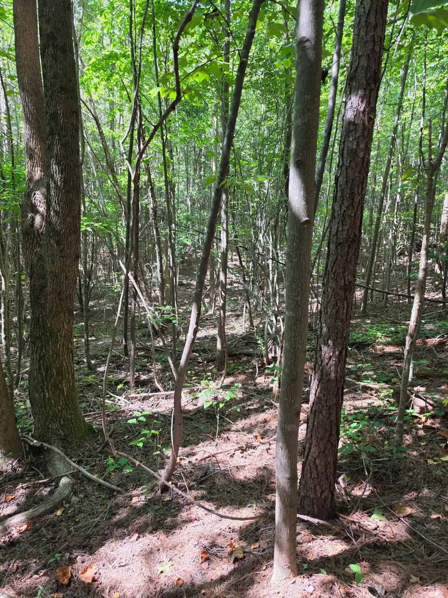 1015 Hotwater Road, Soddy Daisy, TN 37379 - #2