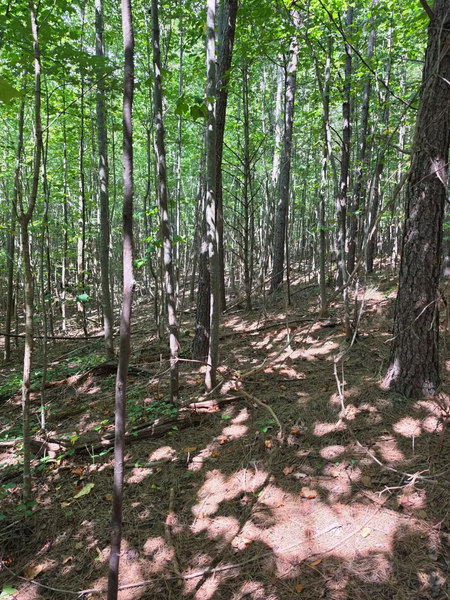 1015 Hotwater Road, Soddy Daisy, TN 37379 - #3