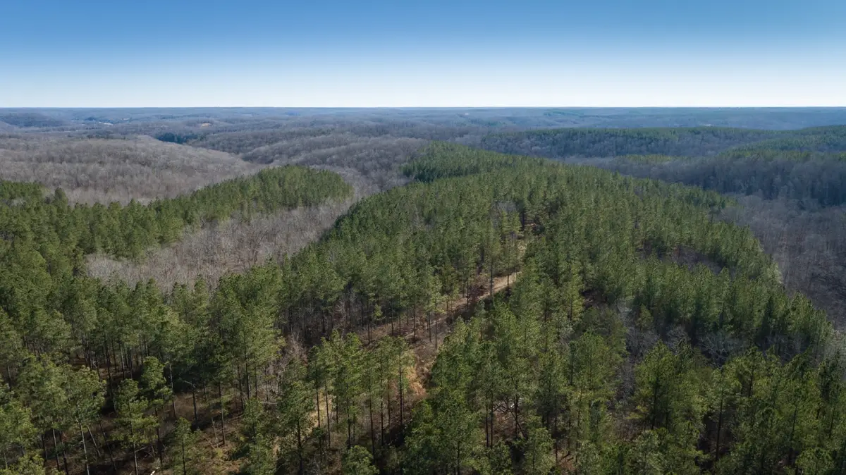 0 Mayfield Divide Rd, Centerville, TN 37033 - #1