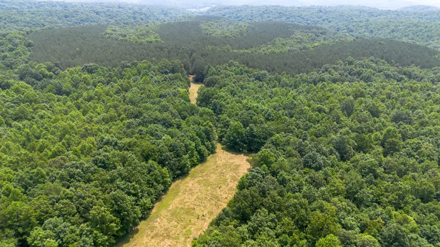 1353 Copperas Branch Rd, Centerville, TN 37033 - #2