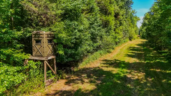 2195 Whiteoak Rd E, Clifton, TN 38425