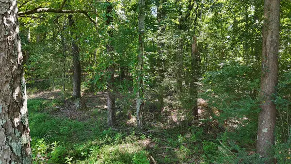 0 Fezzell Road, Decatur, TN 37322