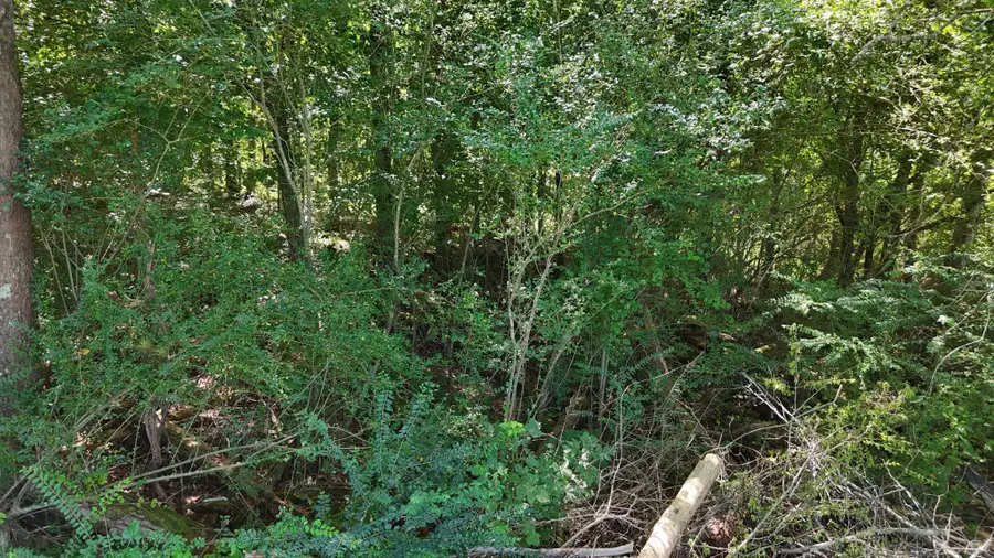 0 Fezzell Road, Decatur, TN 37322 - #2