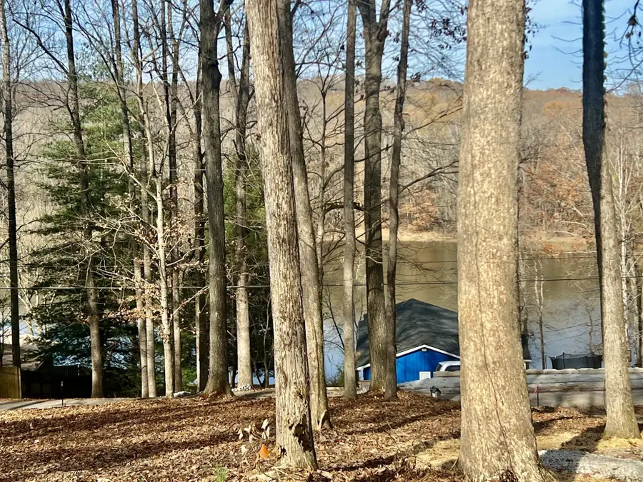 559 Hickman Shores Rd, Dover, TN 37058 - #2