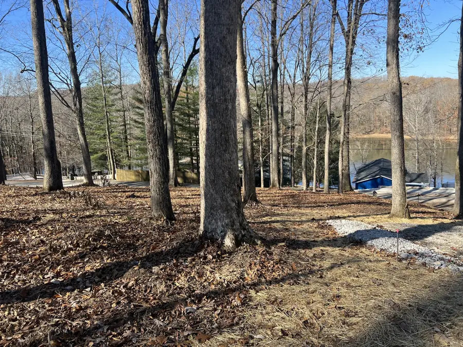 559 Hickman Shores Rd, Dover, TN 37058 - #3