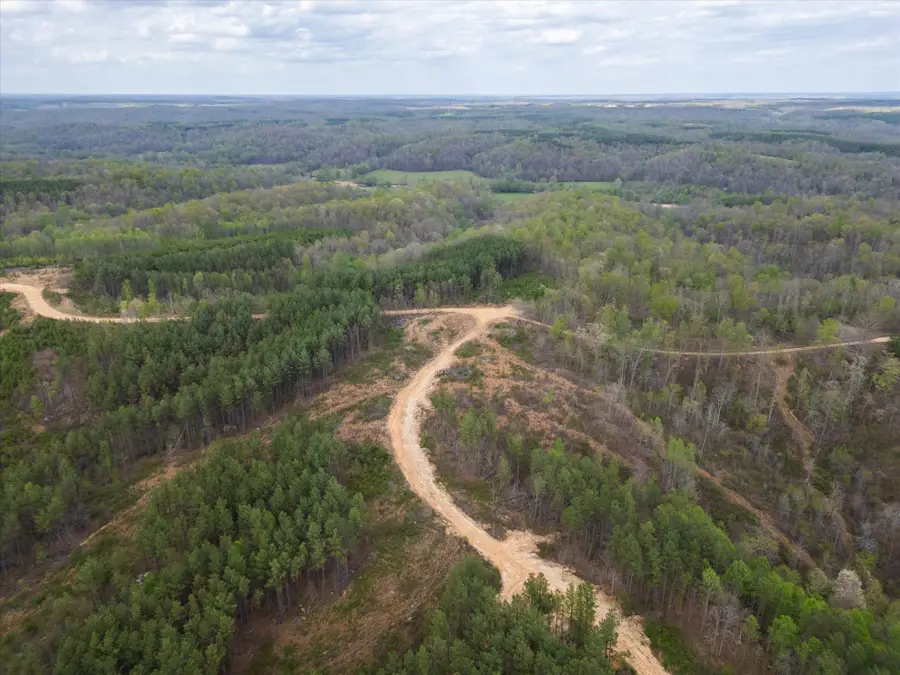 0 Rustic Pines Road, Dover, TN 37058 - #3