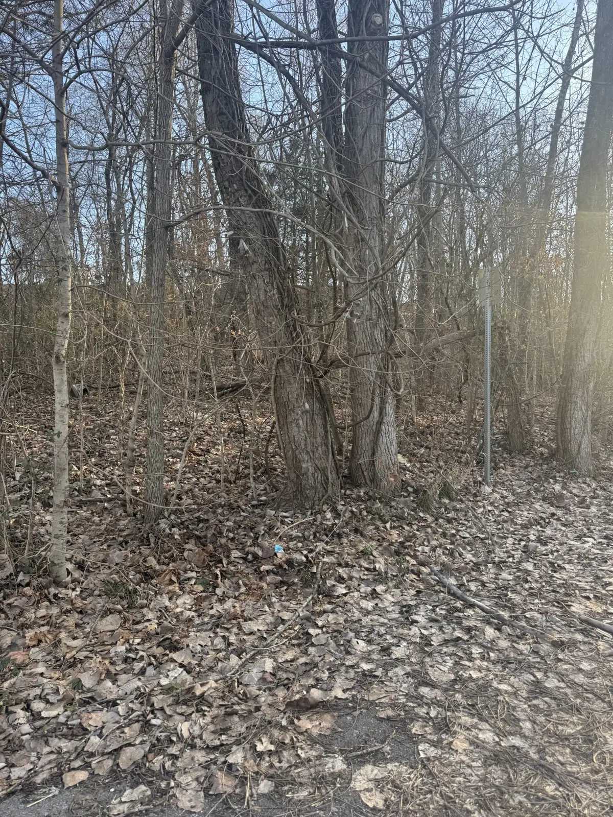 708 Peachers Dr, Clarksville, TN 37042 - #1