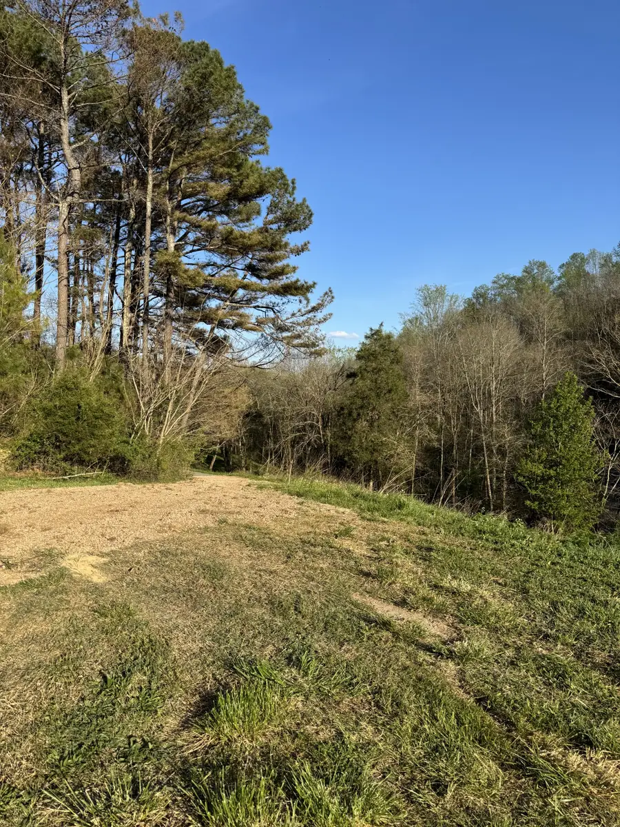 195 Hasty Hollow Rd, Lynchburg, TN 37352 - #3
