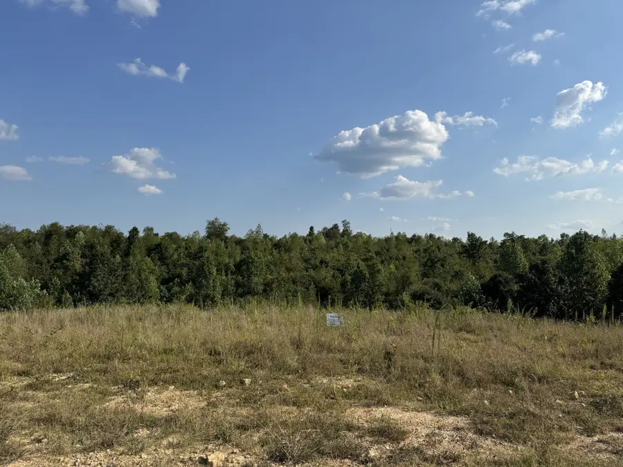 169 Twin Pines Rd, Lobelville, TN 37097 - #2