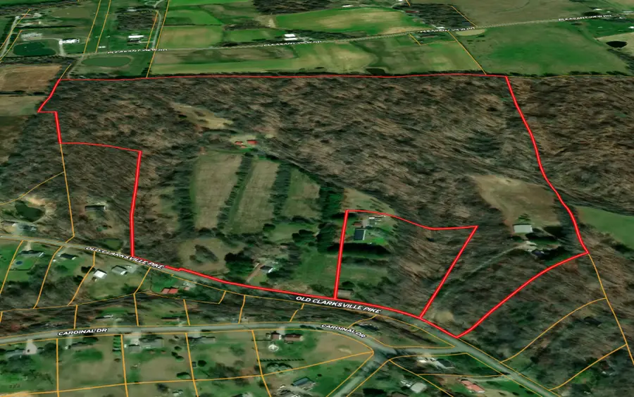 1318 Old Clarksville Pike, Pleasant View, TN 37146 - #2