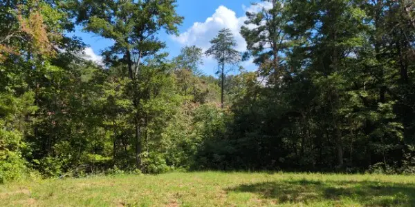 8400 Barren Fork Ln, Bon Aqua, TN 37025 - #1