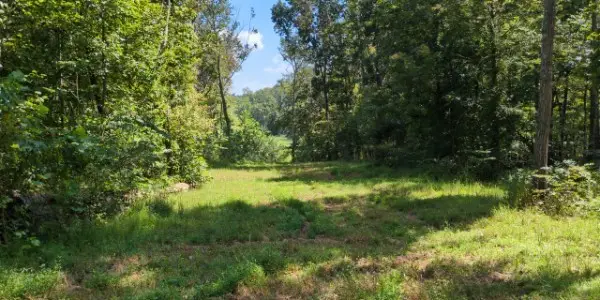 8400 Barren Fork Ln, Bon Aqua, TN 37025 - #3