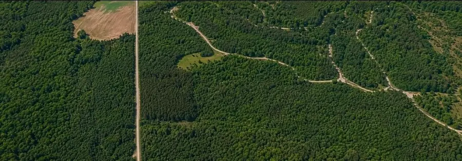 12946 Birdsong Rd, Holladay, TN 38341 - #2