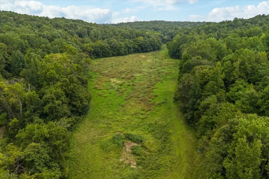 0 Little Blue Ck Rd, McEwen, TN 37101 - #2