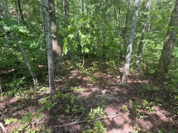 12 Skyline Dr, Smithville, TN 37166