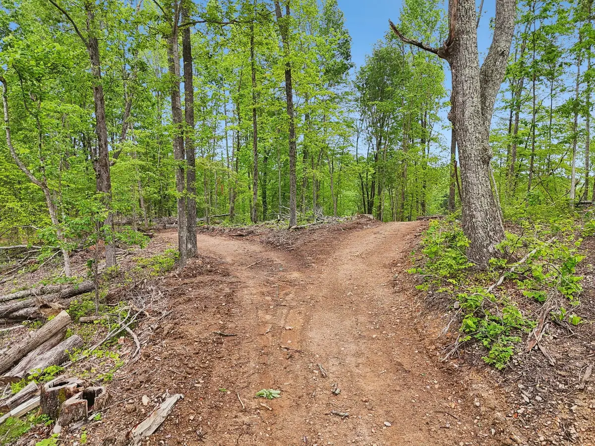 0 Simmons, Ashland City, TN 37015 - #1