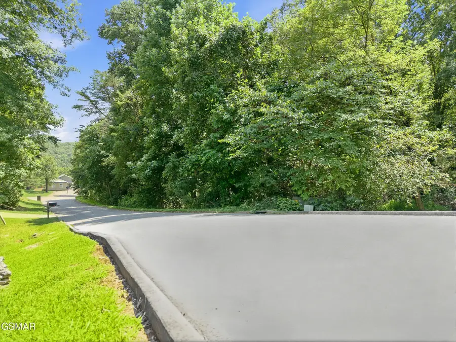 12 Catherine Crisp Drive, Kodak, TN 37764 - #2