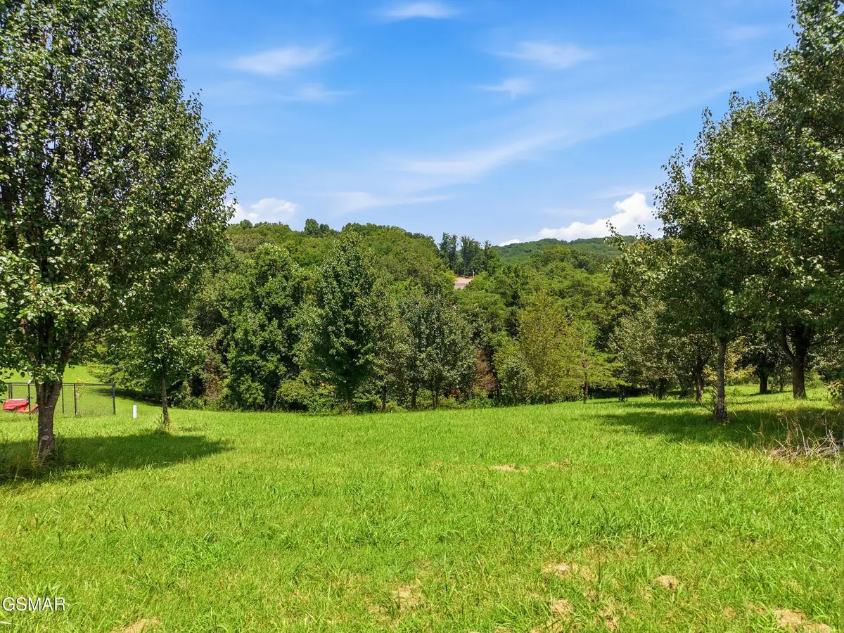47 River Cliff Drive, Kodak, TN 37764 - #1