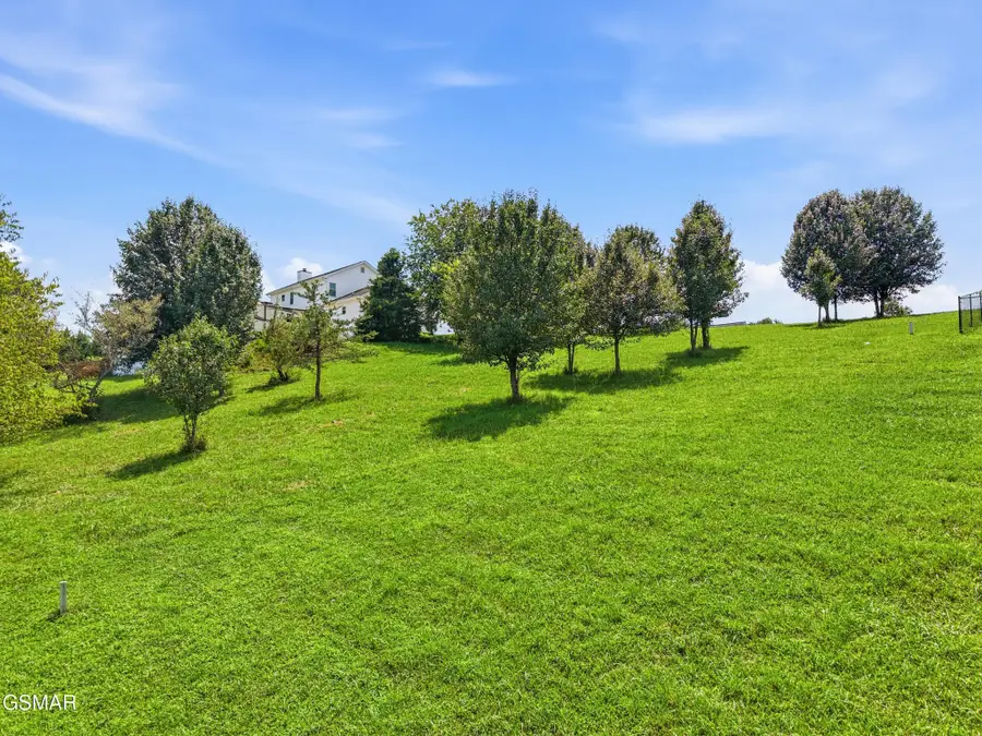 47 River Cliff Drive, Kodak, TN 37764 - #2
