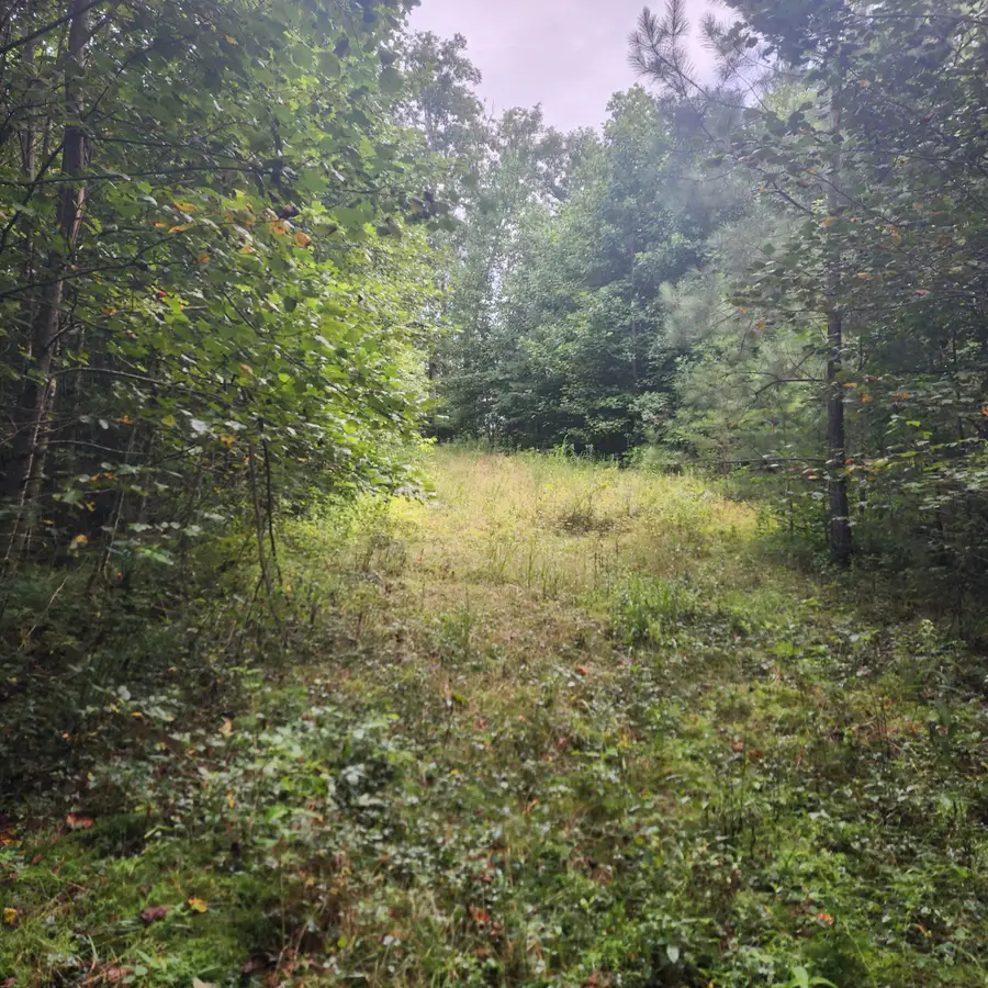 0 Sr 108, Gruetli Laager, TN 37339 - #2