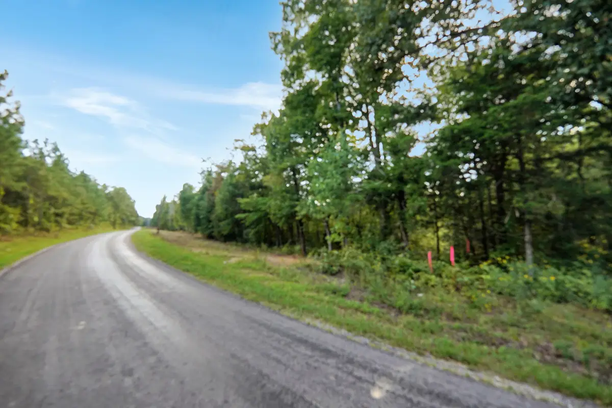 1 Freeman Fielder Rd, Stewart, TN 37175 - #1