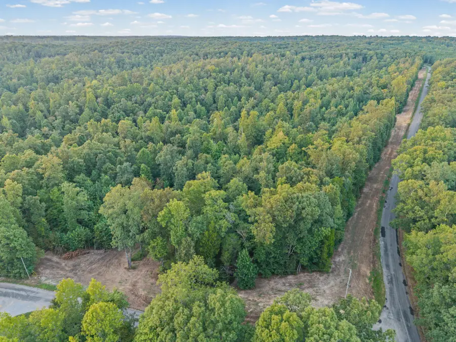 3 Freeman Fielder Rd, Stewart, TN 37175 - #2