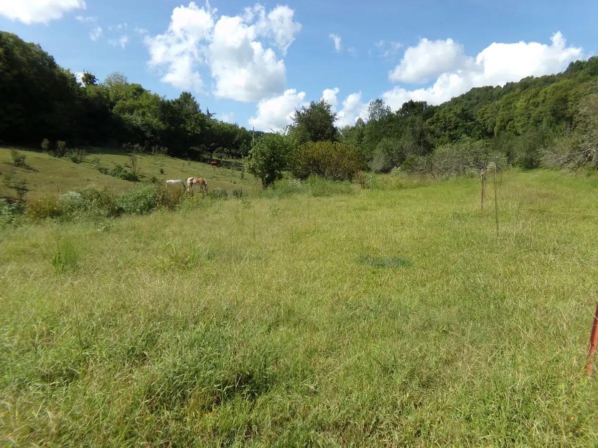 2966 Monte Murrey Rd, Lewisburg, TN 37091 - #1