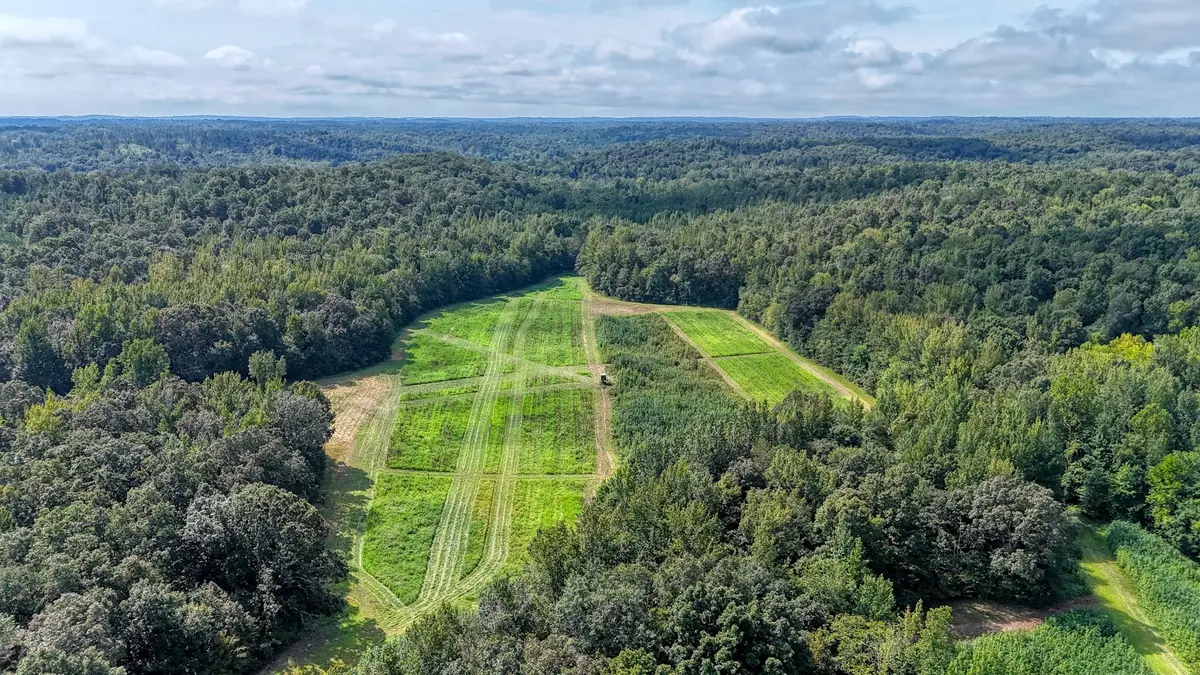 5650 Sulphur Creek Rd, Big Sandy, TN 38221 - #1