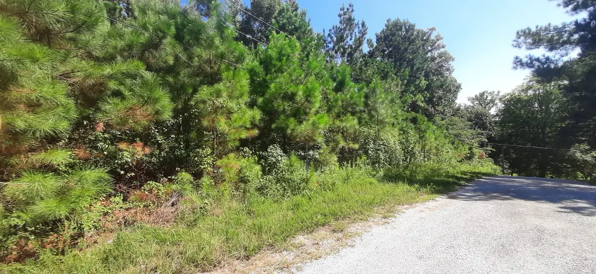 0 Tate Drive, Buchanan, TN 38222 - #1