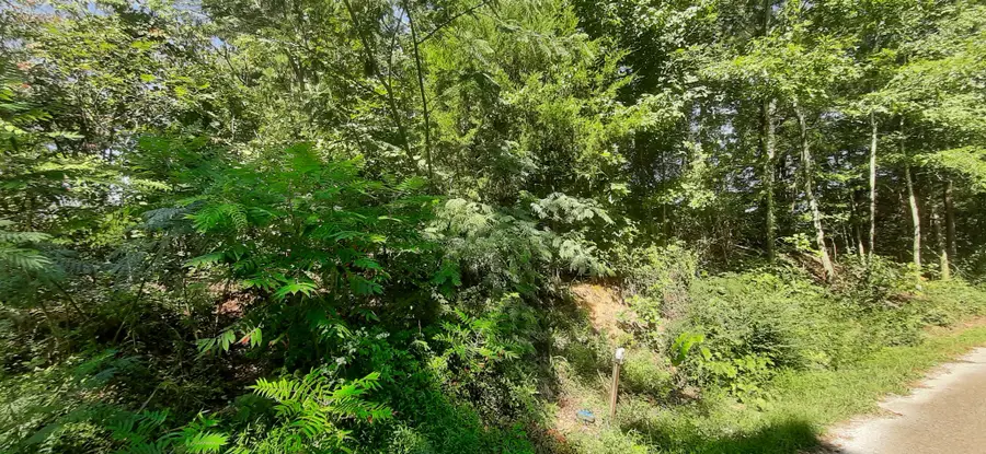 0 Tate Drive, Buchanan, TN 38222 - #2