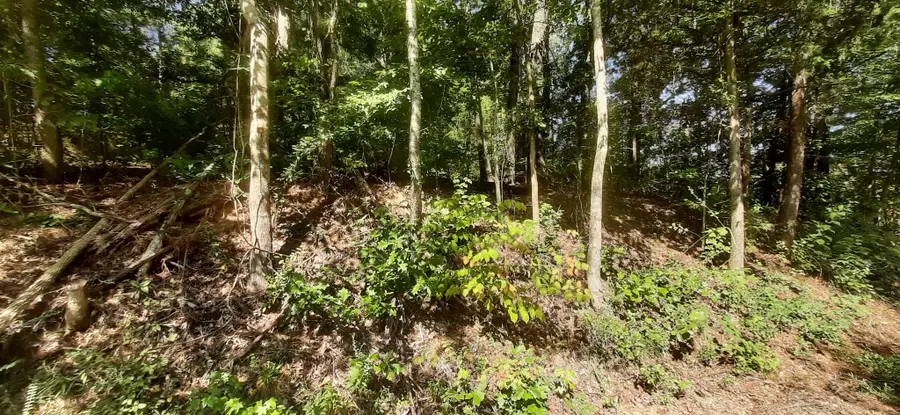 0 Tate Drive, Buchanan, TN 38222 - #3