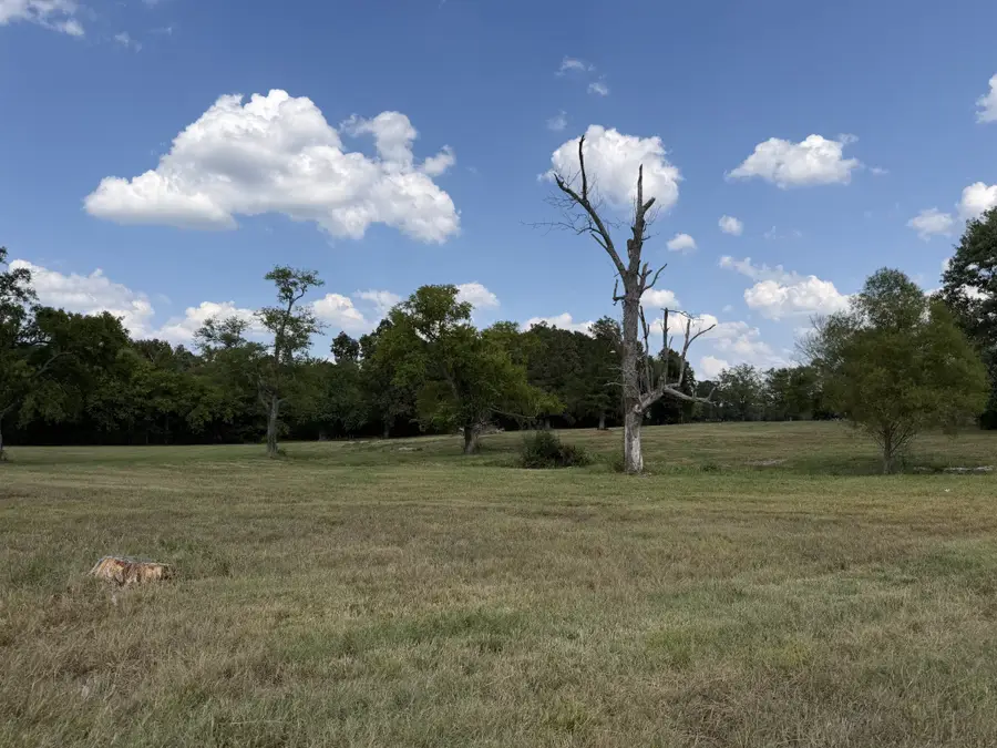 0 Midland Fosterville Rd, Bell Buckle, TN 37020 - #2