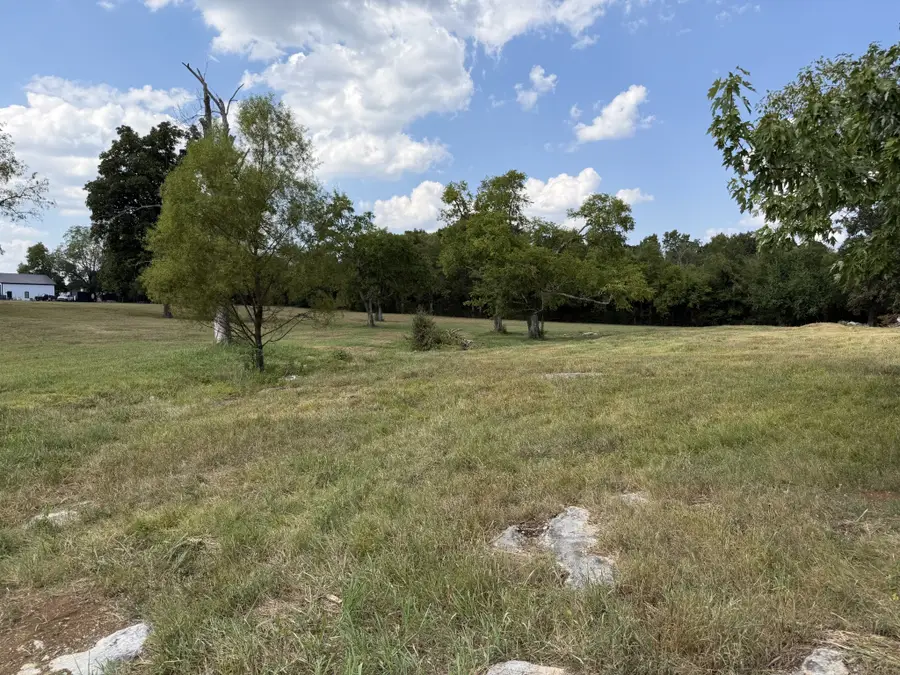 0 Midland Fosterville Rd, Bell Buckle, TN 37020 - #3
