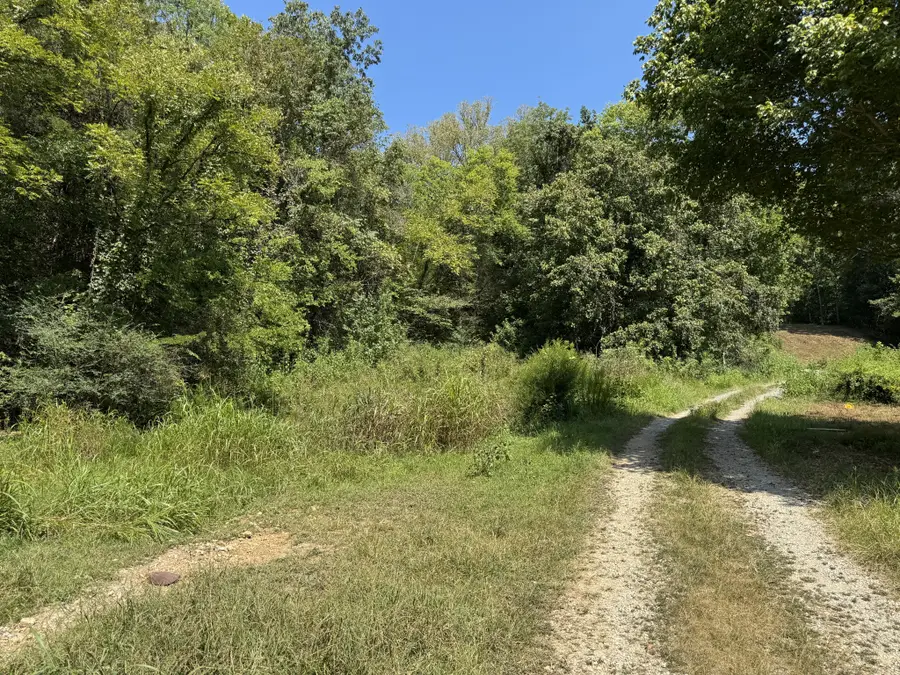 375 Watts Hollow Rd, Buffalo Valley, TN 38548 - #2
