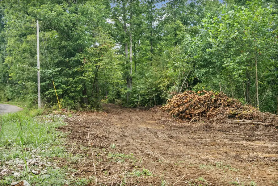 4 Selph Rd, Stewart, TN 37175 - #2
