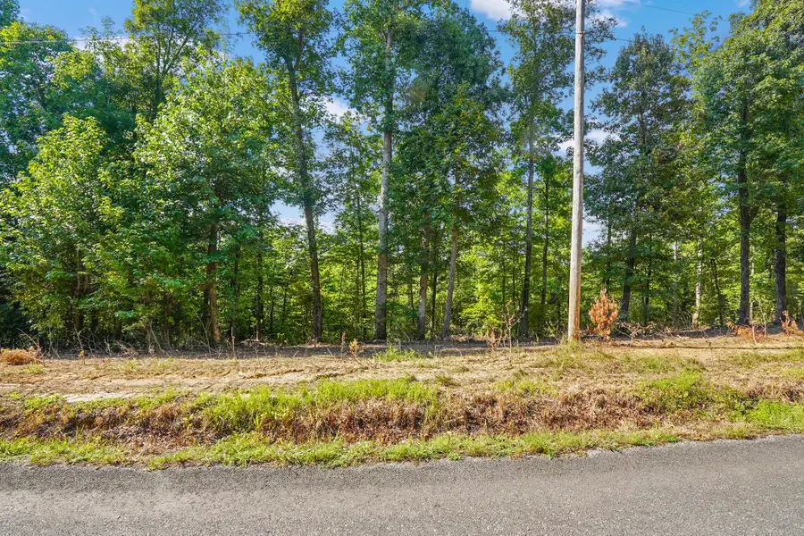 7 Selph Rd, Stewart, TN 37175 - #2